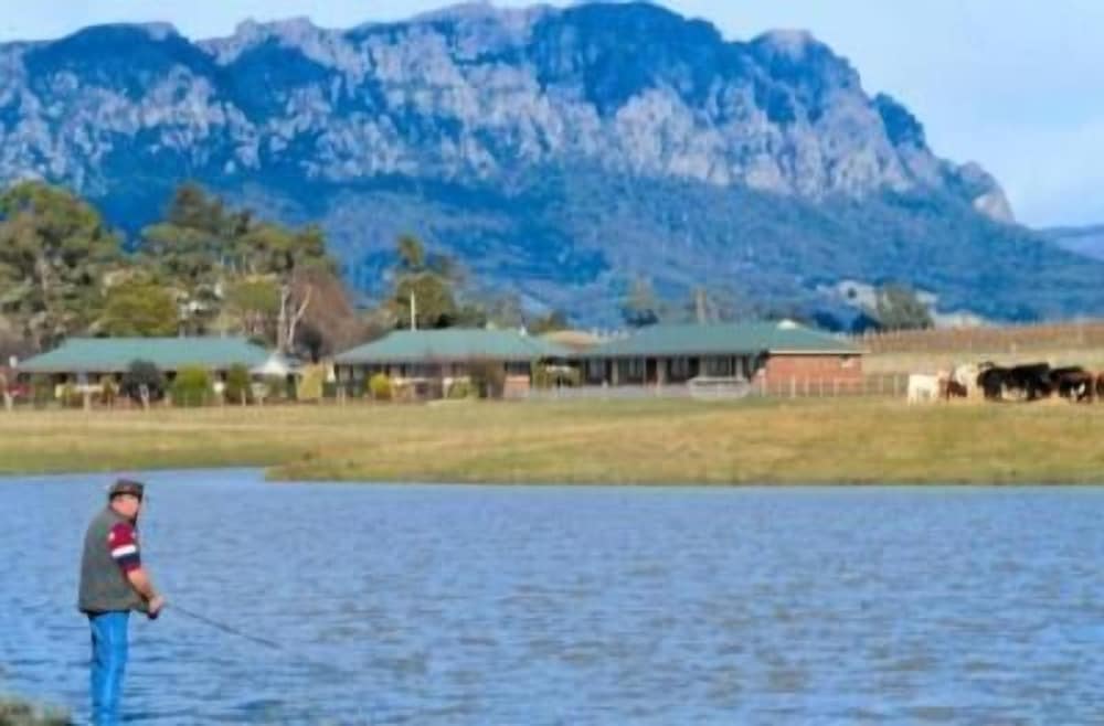 Kentish Hills Retreat by null