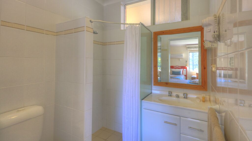 A bathroom with a shower, a sink, a mirror, and a toilet.