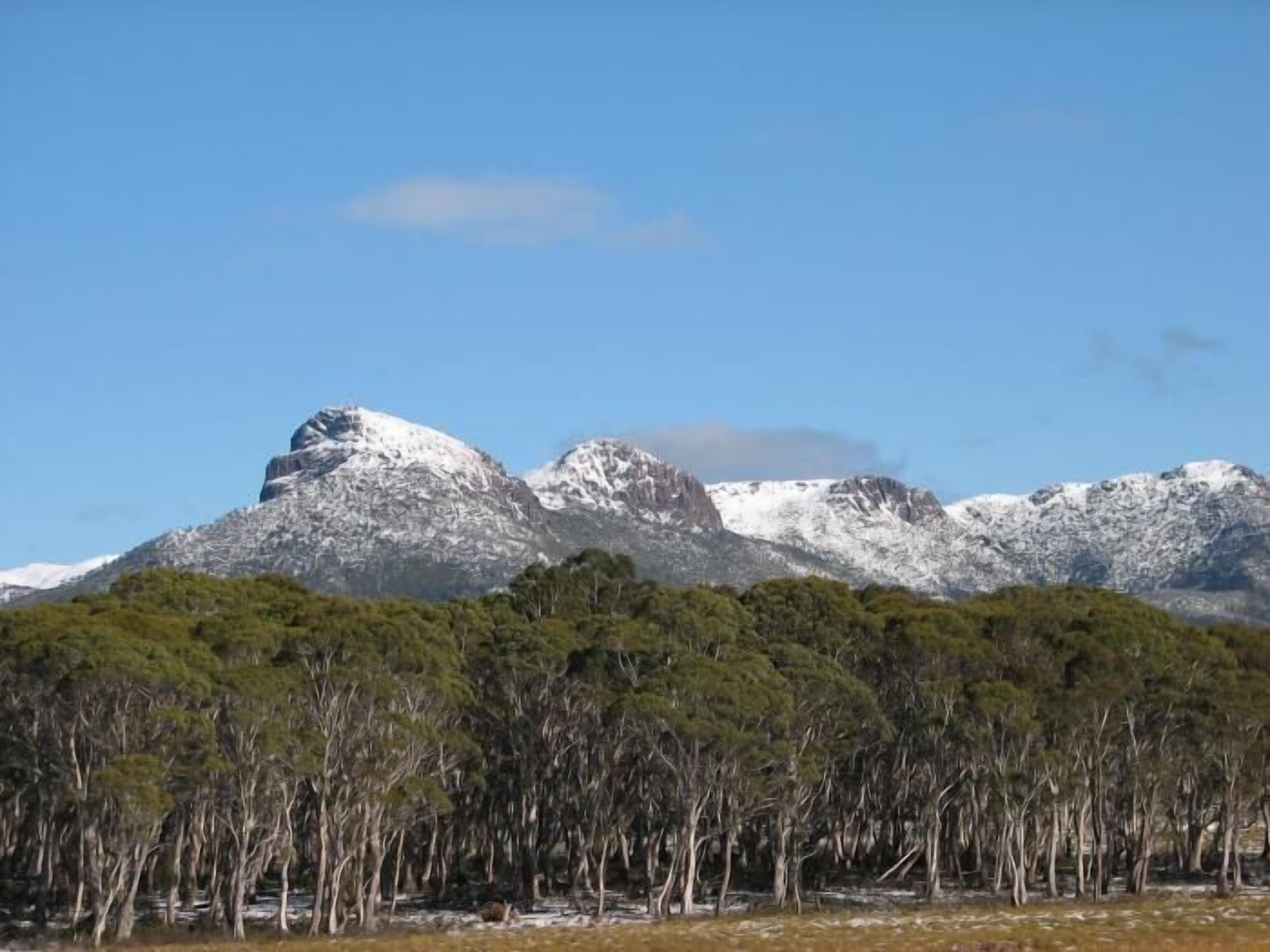 A mountainous landscape with snow-capped peaks and dense forest in the foreground.