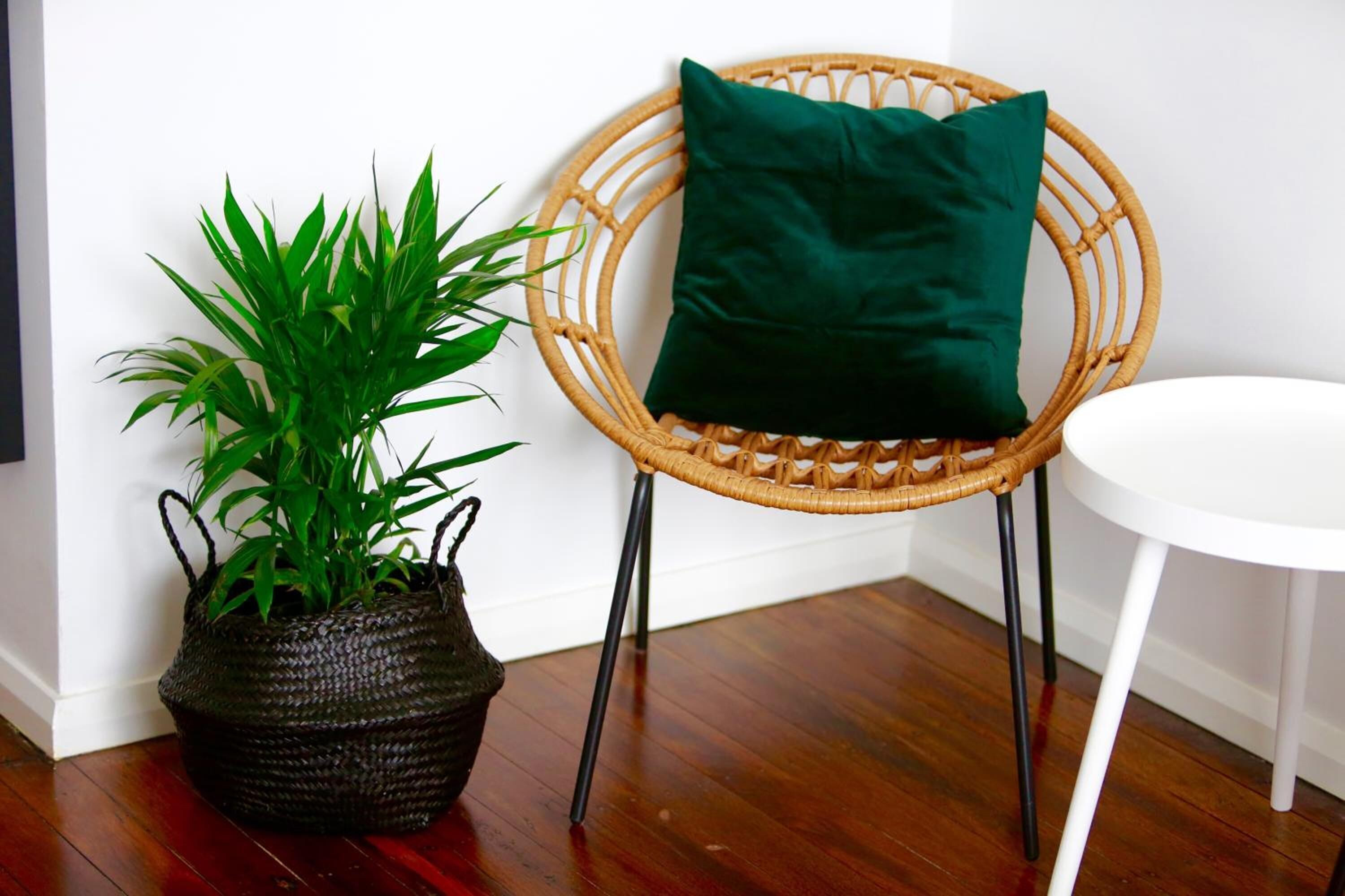 Une chaise en osier avec un coussin vert, une plante en pot et une table blanche, le tout placé contre un mur blanc.