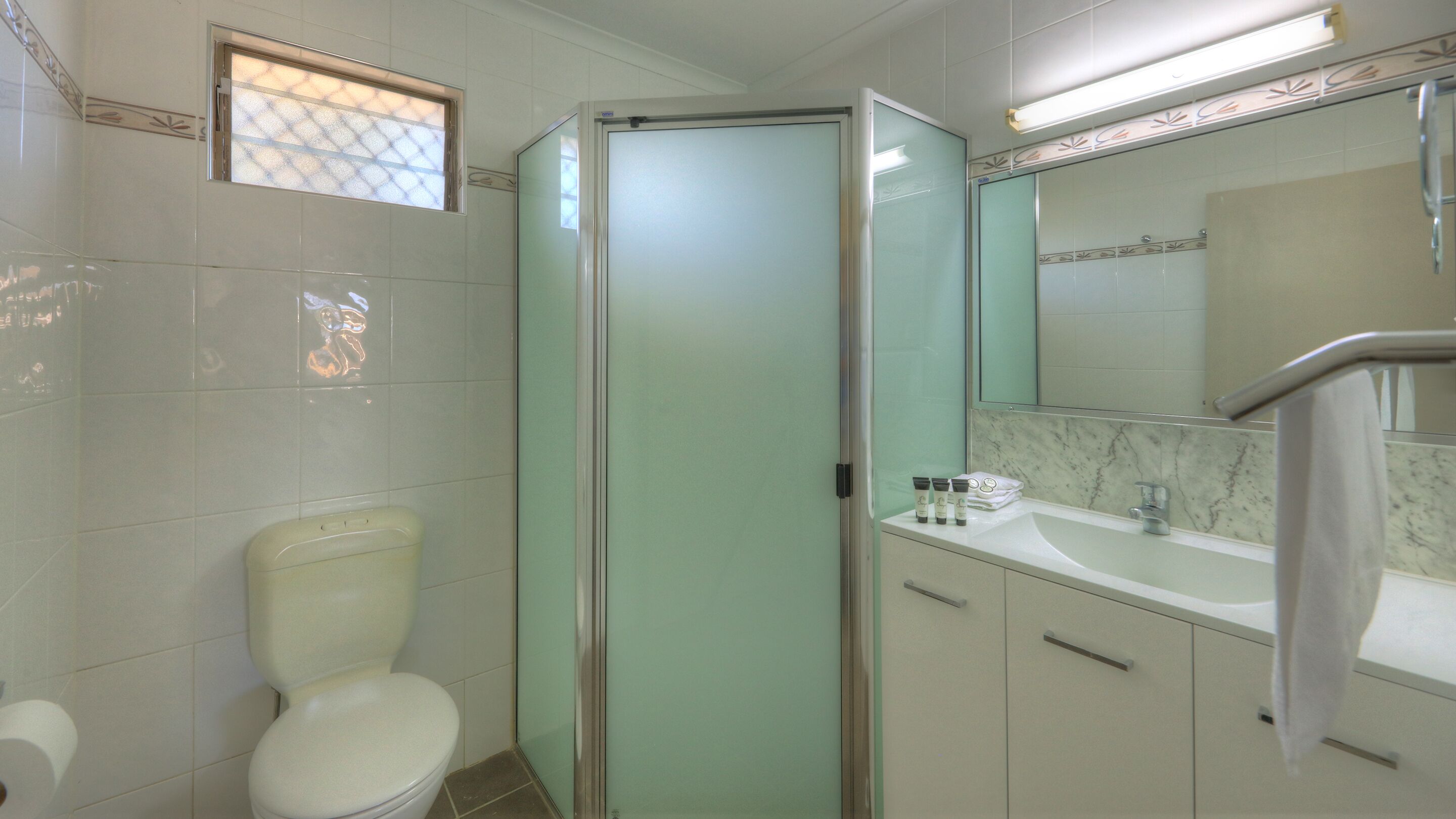 A bathroom with a toilet, a glass-enclosed shower, a sink with toiletries, and a mirror.