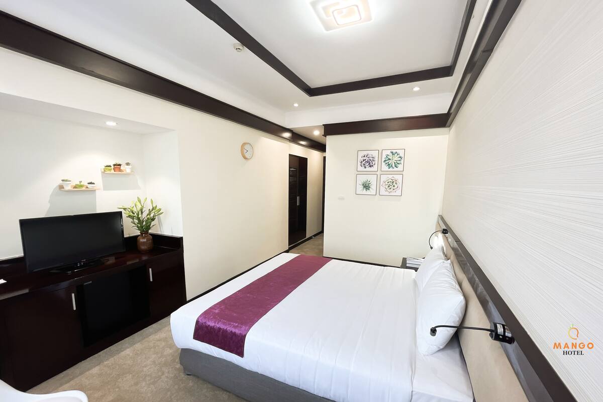 A hotel room with a bed, a TV, a desk, and a plant.