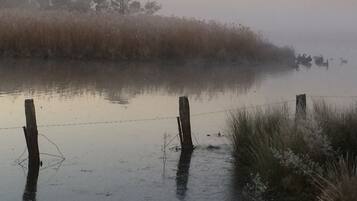 Zona inundada con una cerca de alambre de púas y pastos altos.