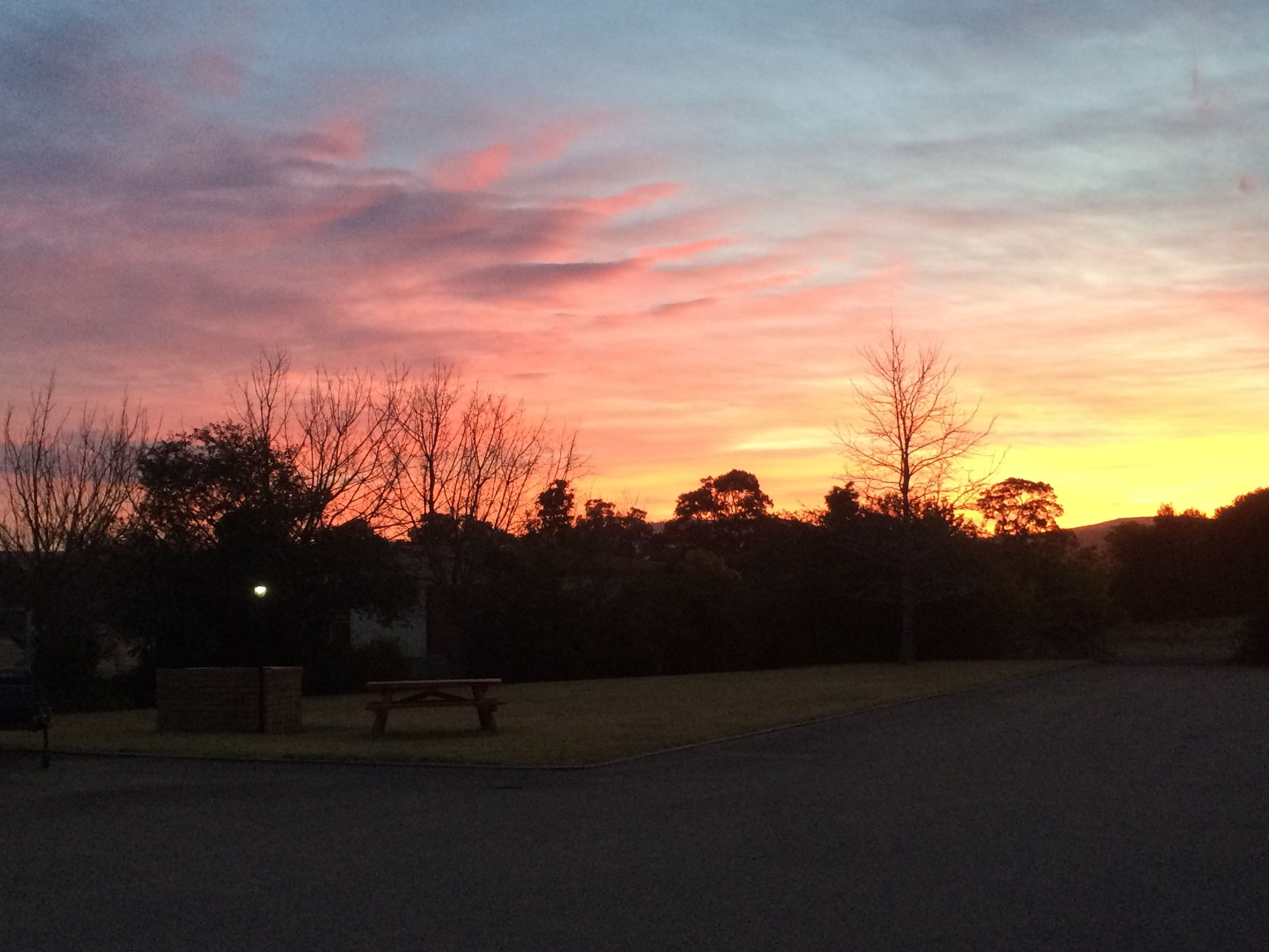 A sunset over a park with a bench and trees.
