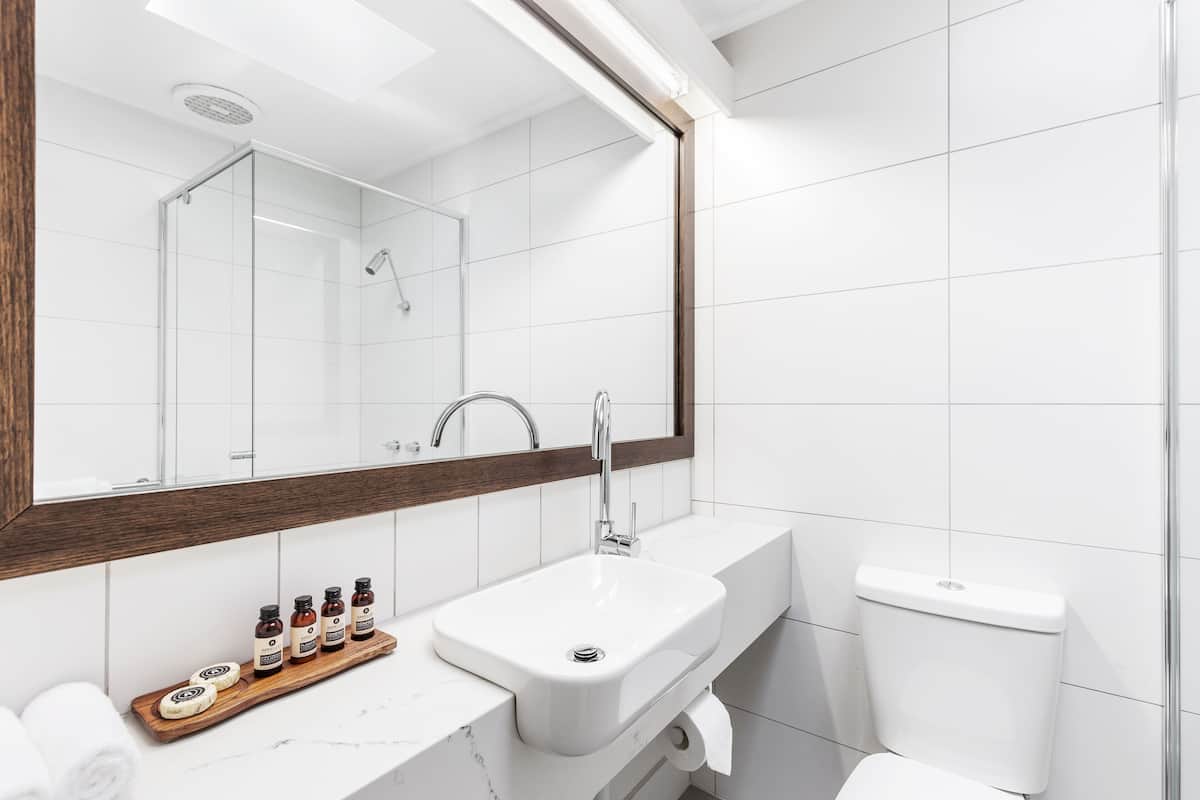 shower, free toiletries, hair dryer, towels