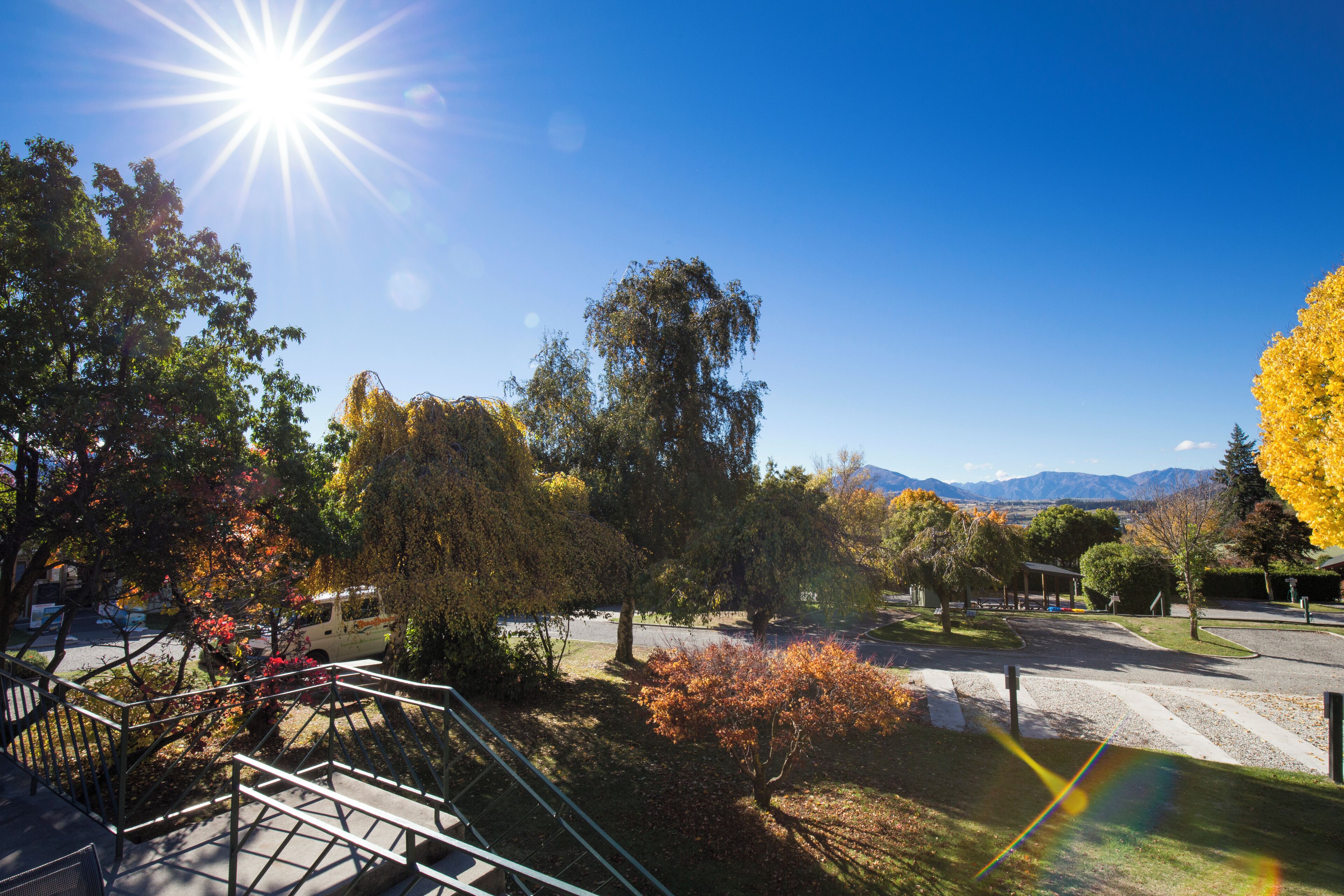 Garden view