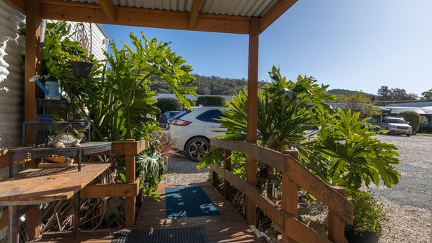 Un espacio al aire libre cubierto con una mesa de madera, un tapete azul y plantas en macetas.