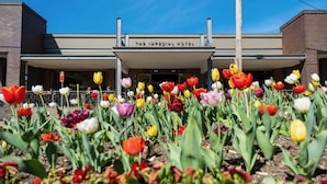 The Imperial Hotel with a variety of tulips in the foreground. - The Imperial Motel (Bowral)