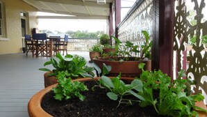 Ein überdachter Patio-Bereich mit Topfpflanzen und Gartenmöbeln.