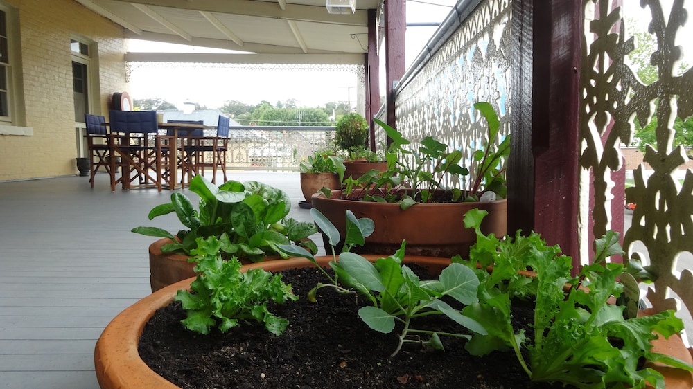 The Globe Inn by null