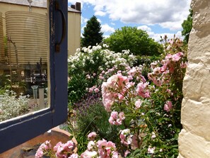 Pemandangan dari kamar