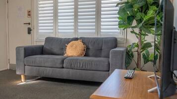 A grey sofa with a textured throw pillow, a wooden table with a remote control, and a large green plant.