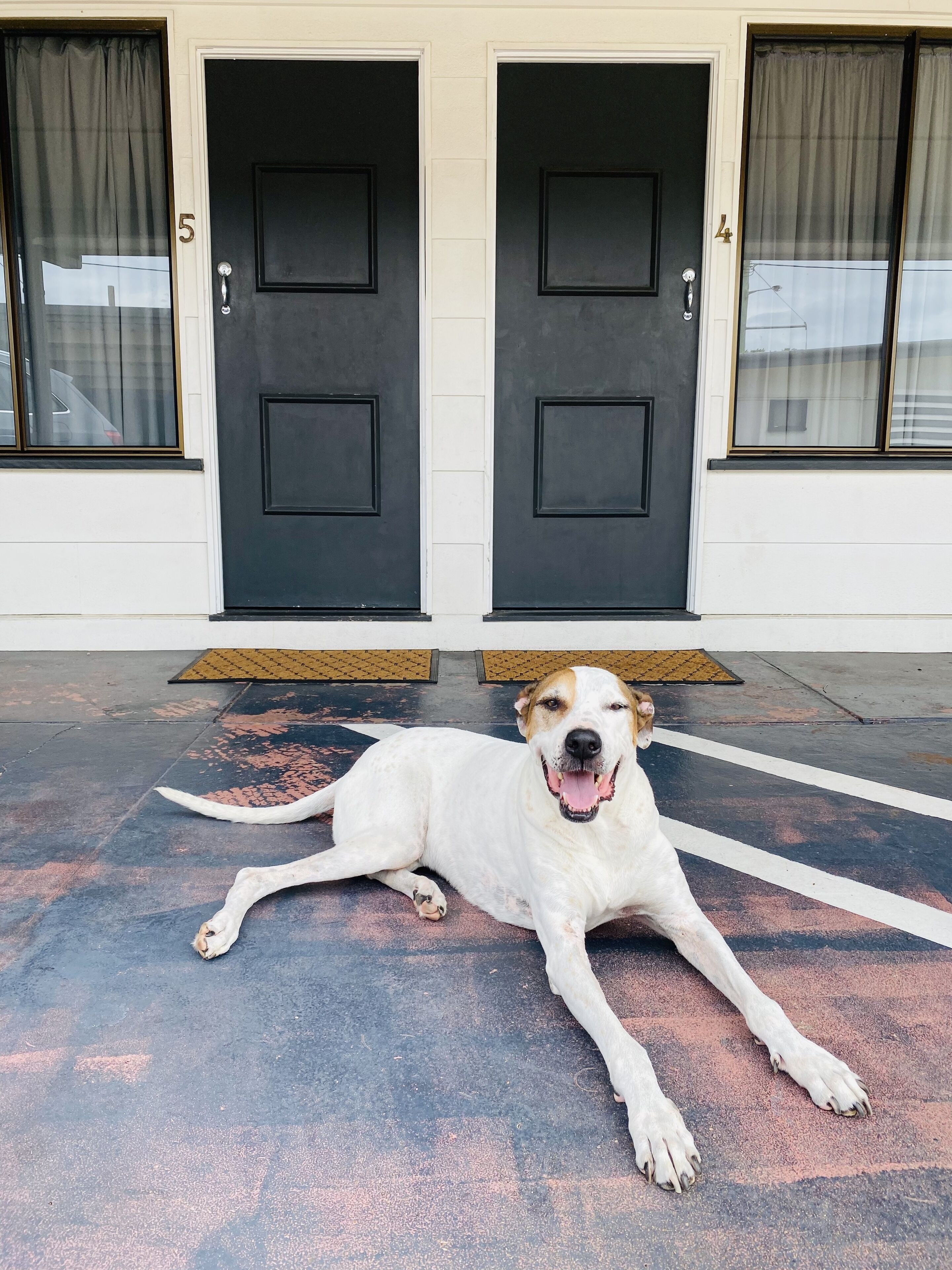 ラグジュアリー スタジオ 1 ベッドルーム サウナ | テラス / パティオ