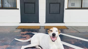 Self Contained Unit | Terrace/patio