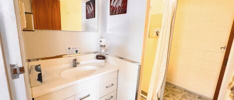 Baño con lavamanos, espejo y zona de ducha.