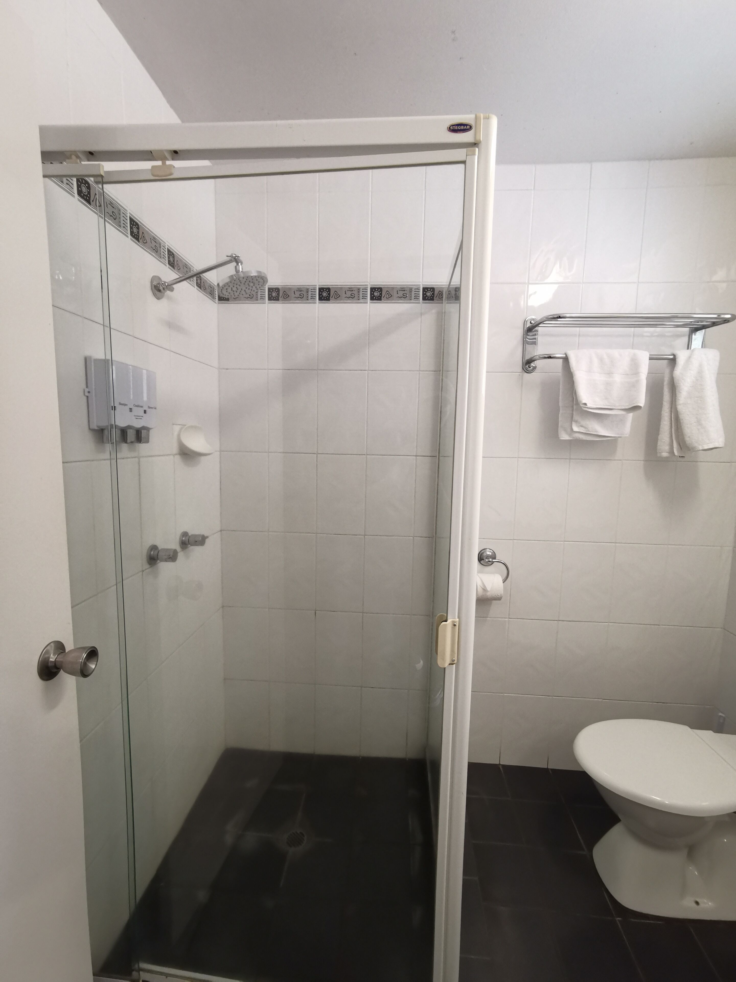 Casa de banho com cabine de duche em vidro, sanita e porta-toalhas.