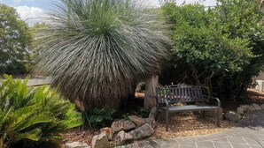 A garden with a stone bench and a variety of plants, including a prominent palm-like tree. - Leichhardt Motor Inn (South Toowoomba)