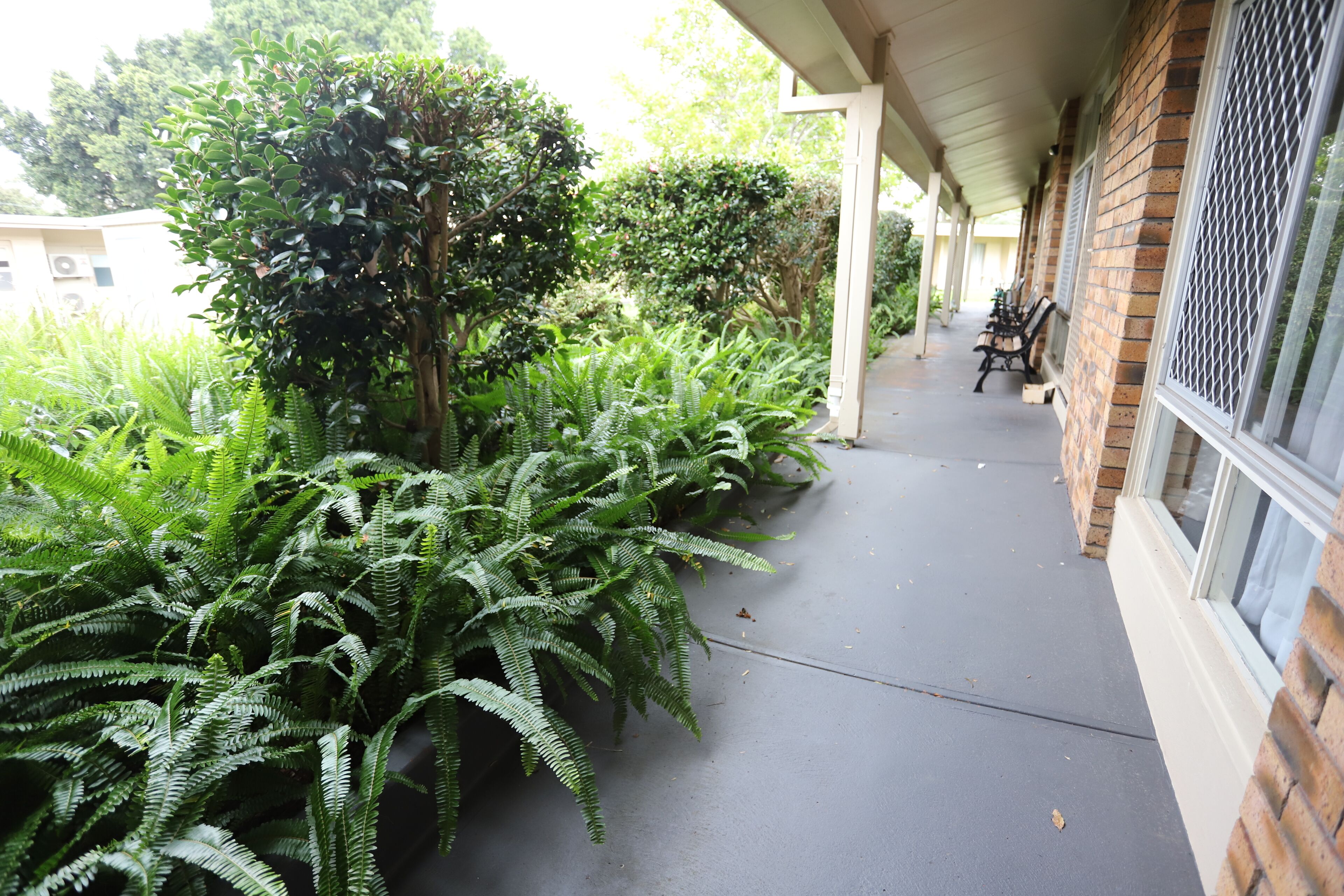 Deluxe Twin Room (Not Pet Friendly) | Terrace/patio