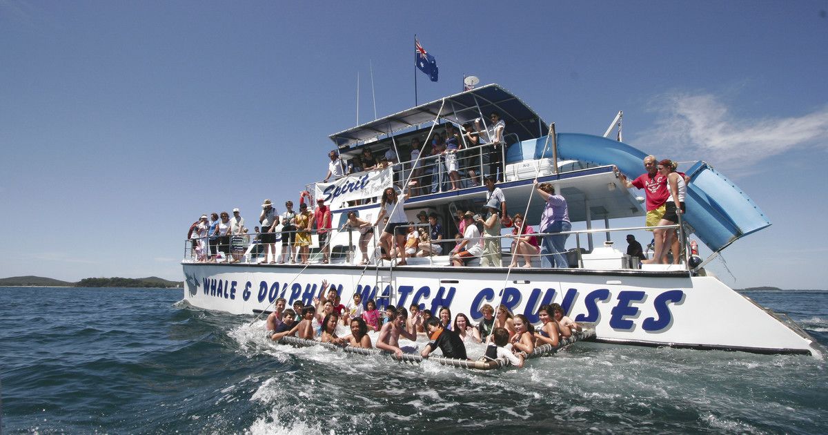 A whale and dolphin watch cruise ship with passengers on deck and in the water.