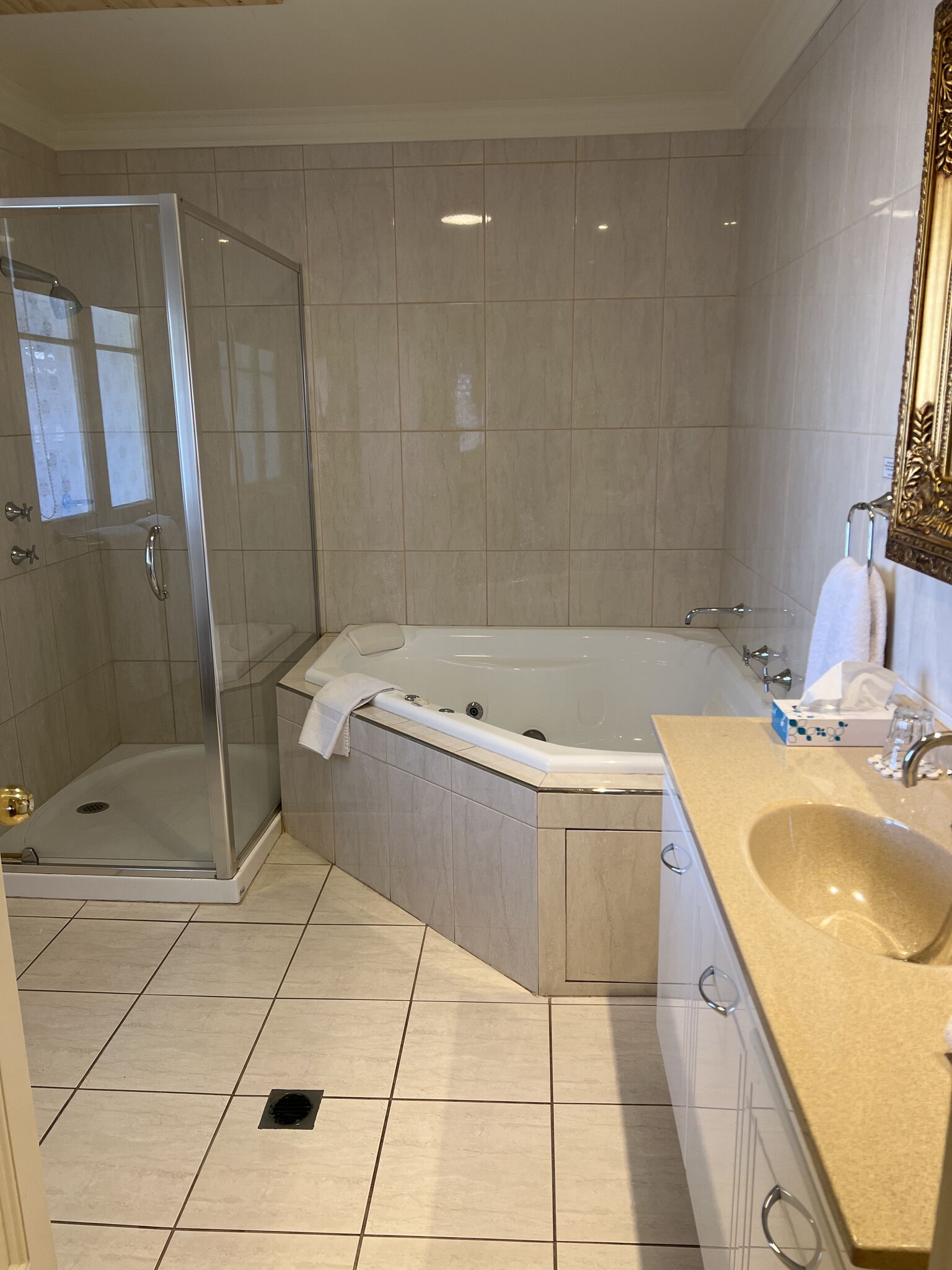 deluxe suite | bathroom | separate bathtub and shower, jetted bath, hair dryer, towels