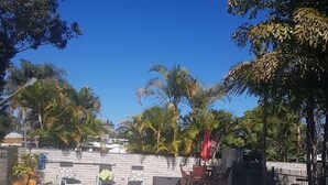A clear blue swimming pool with lounge chairs and umbrellas, surrounded by palm trees and a stone wall. - Sunseeker Motel (Scarness)