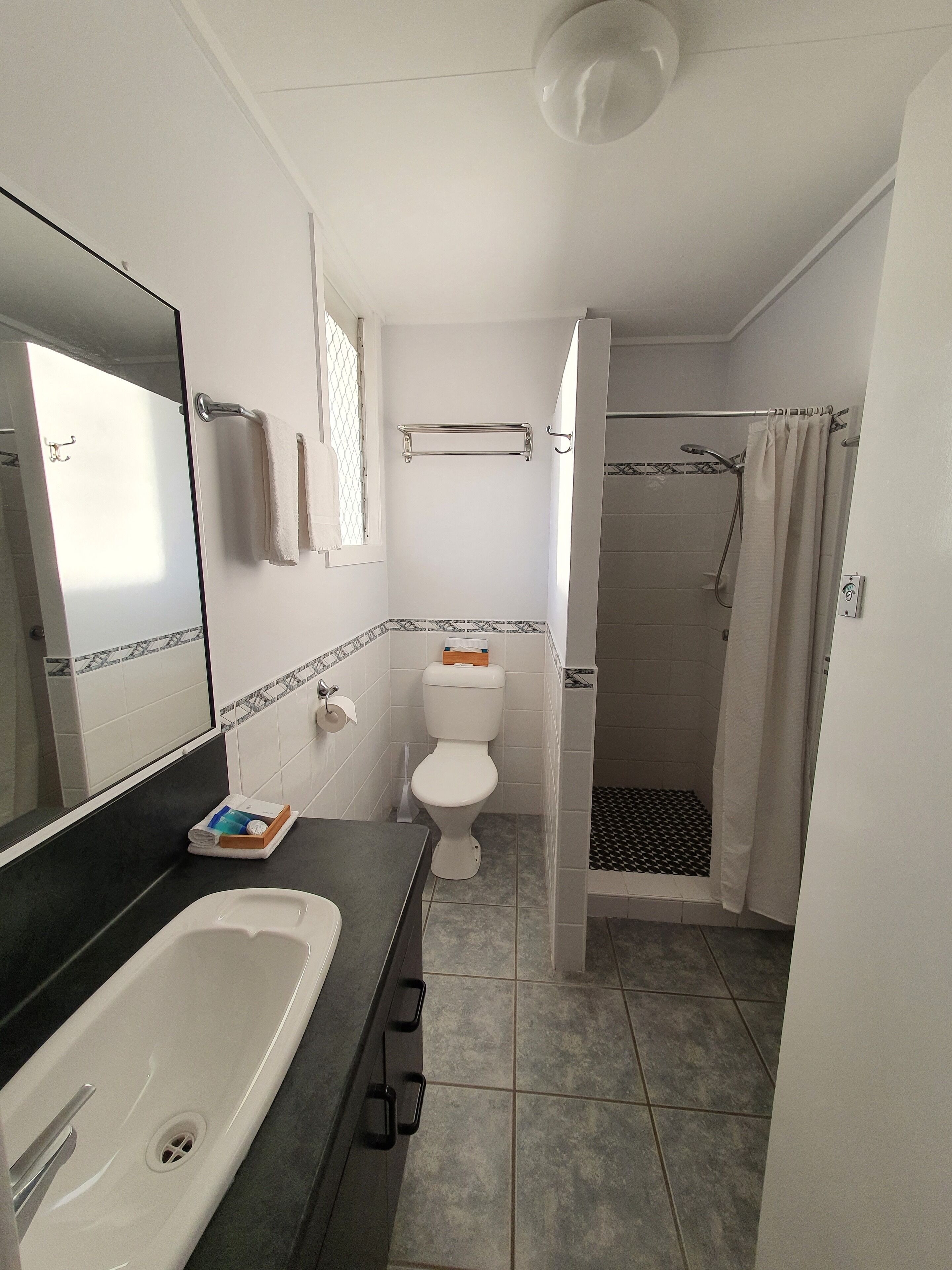 Une salle de bain avec un lavabo, des toilettes et une douche.