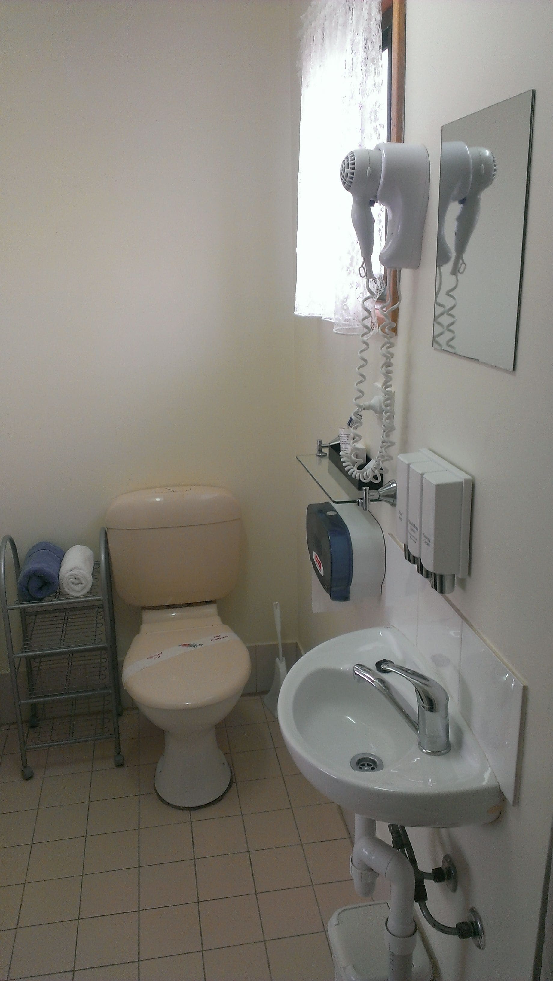 A bathroom with a toilet, a sink, a hairdryer, and a towel rack.