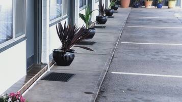 Una hilera de macetas con plantas a lo largo de la fachada de un edificio.