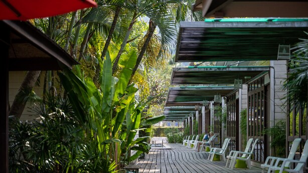 Un espacio al aire libre cubierto con piso de madera y sillas blancas, rodeado de exuberante vegetación tropical.
