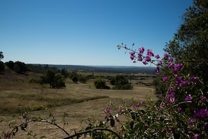 Vista desde la propiedad