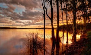 A serene lakeside view with trees and a sunset.
