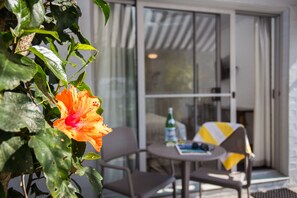 Terrace/patio - Blueys Motel (Blueys Beach)