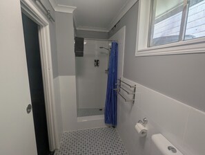 Twin Room | Bathroom | Shower, free toiletries, hair dryer, towels - Motel Wellington (Wodonga)