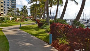 Un sendero que lleva a un puerto deportivo con barcos, rodeado de palmeras y abundante vegetación cuidada.