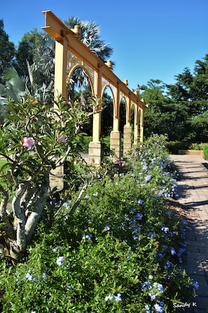 Een tuin met een pergola, weelderige begroeiing en bloeiende planten.