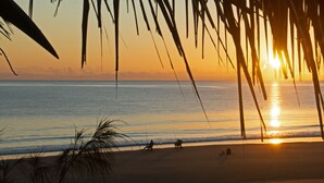 Escena de playa con palmeras y el sol poniéndose sobre el océano.