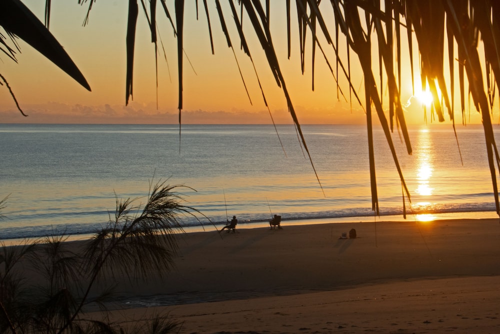 BIG4 Mackay Blacks Beach Holiday Park photo 3