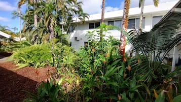 Stroll through the serene garden, surrounded by lush greenery and vibrant flowers.