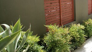Een tuin met diverse planten, een betonnen muur en een betegeld pad.