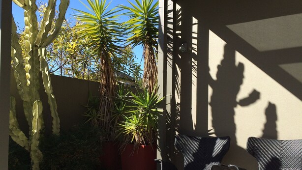 Een terras buiten met twee stoelen, een cactus en planten in potten.