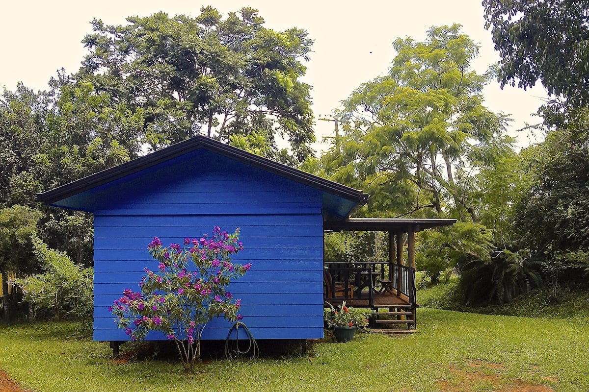 Een klein, blauw houten gebouw met een veranda, omgeven door weelderige begroeiing.