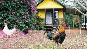 A yellow structure with a porch, surrounded by flowering plants and a chicken.