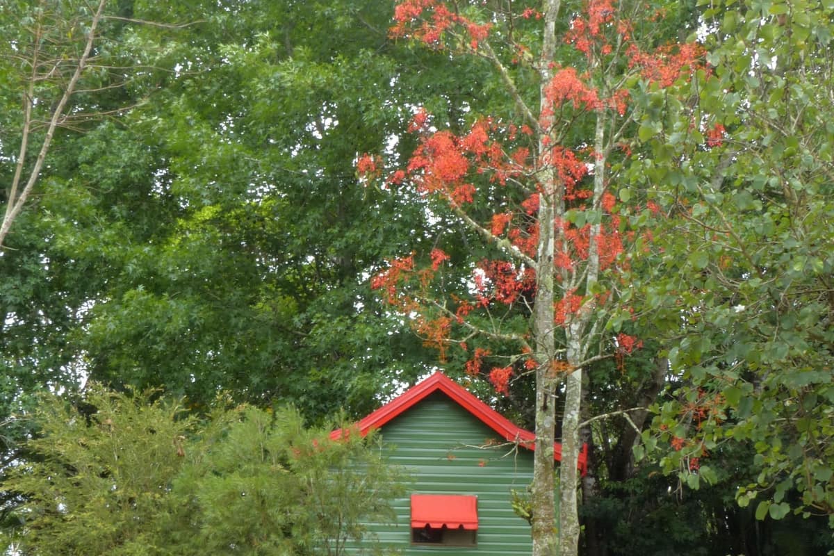 Een gebouw in groen, met een rood dak, omringd door bomen en begroeiing.