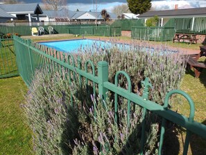 A swimming pool surrounded by a green fence and lavender plants.