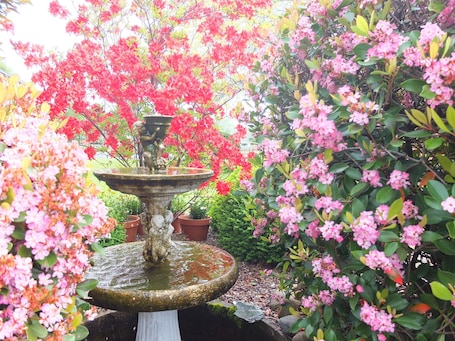 Exterior. Colonial Court Motel