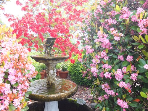 Colonial Court Motel