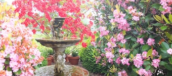 Colonial Court Motel