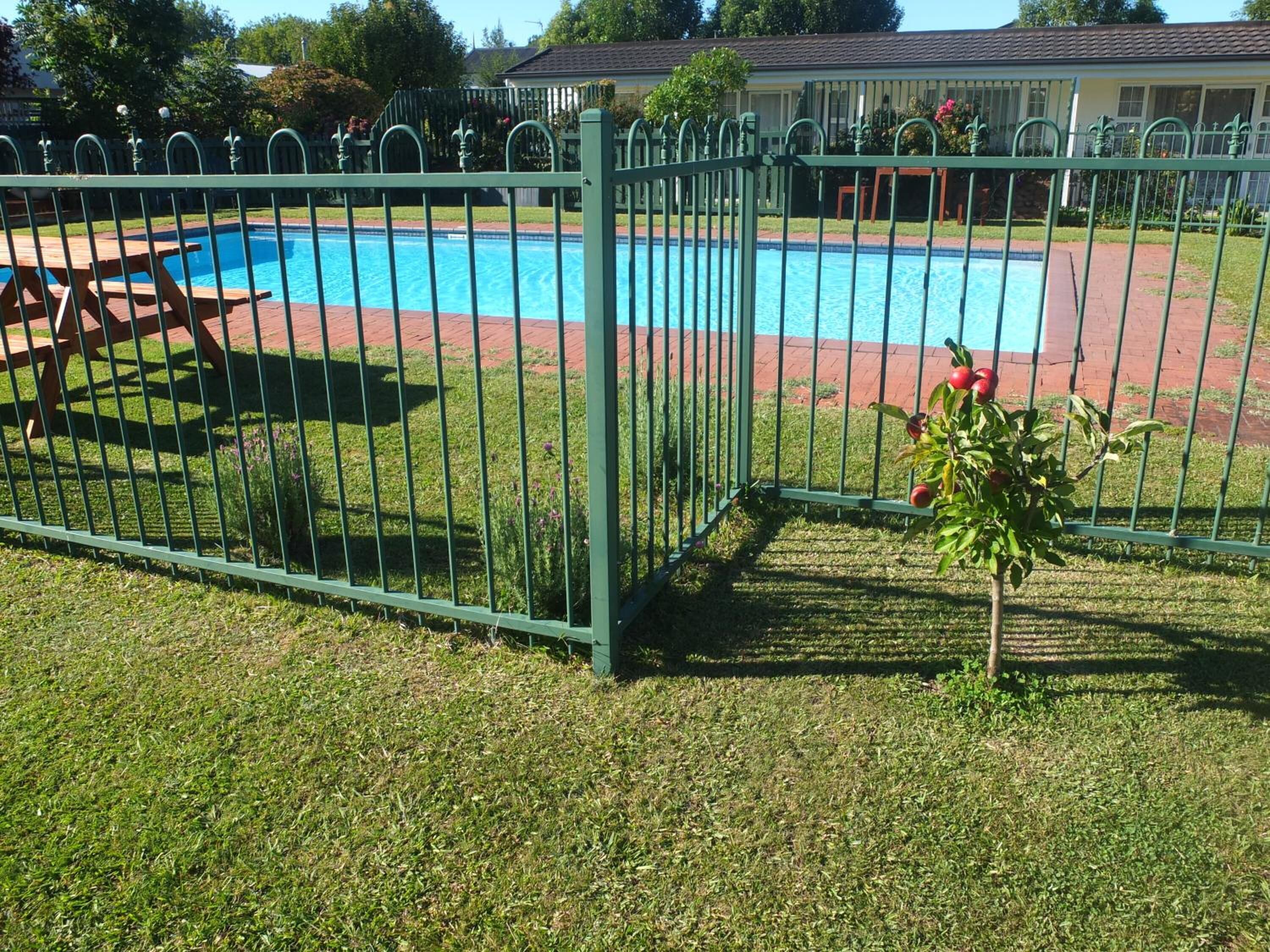 Una piscina rodeada por una cerca metálica verde, con un pequeño árbol y una mesa de picnic cerca.