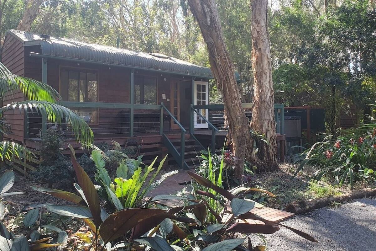 A wooden cabin with a metal roof, surrounded by dense vegetation and trees.