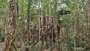A rustic wooden structure surrounded by dense forest. - Wanderers Retreat Port Stephens (Boat Harbour)